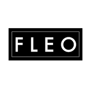 FLEO Web Accessibility